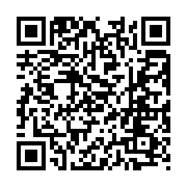 QR 0334e81