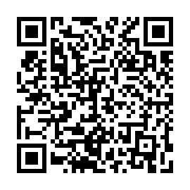 QR 033b41c