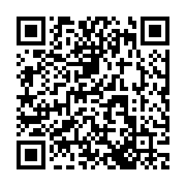 QR 033e384