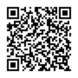 QR 033efe2