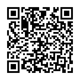 QR 035131a
