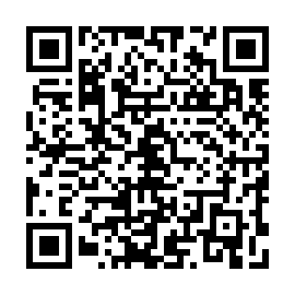 QR 0380085
