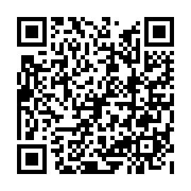 QR 0384a84