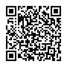 QR 0385994