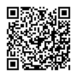 QR 038c351