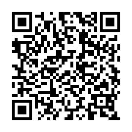 QR 038fe82