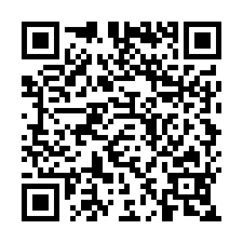 QR 03a5541