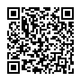QR 03a8161