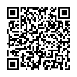 QR 03c0539