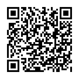 QR 03c6384