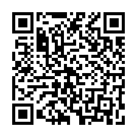 QR 03ca704