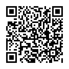 QR 0439b53