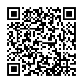 QR 0449b29