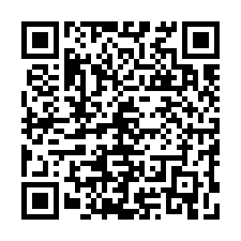 QR 046a295