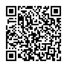 QR 046a8a4