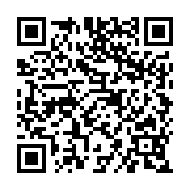 QR 048a311