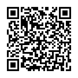 QR 04a95b1