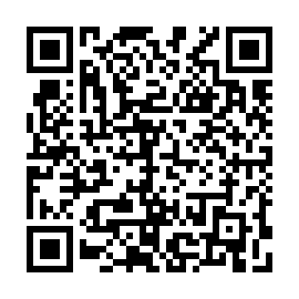 QR 04ab33c
