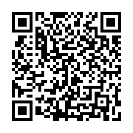 QR 04be732