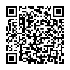 QR 0523d91