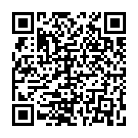 QR 0533e03