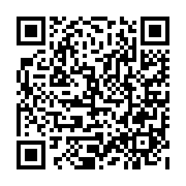 QR 056e133