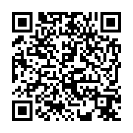 QR 06133f9
