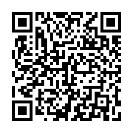 QR 069eeb9