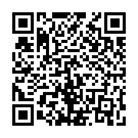 QR 06a208b
