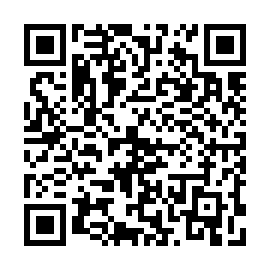 QR 06b100a