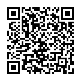 QR 06b5311