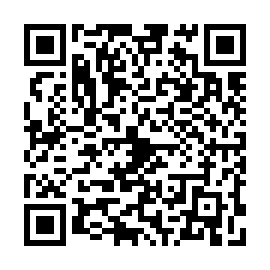 QR 06f3541