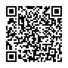 QR 077ce3b