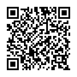QR 07c2950