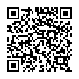 QR 080efea