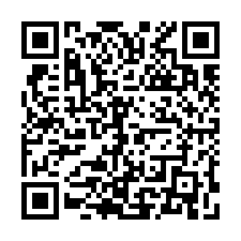 QR 083fe33