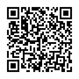 QR 08b0f29