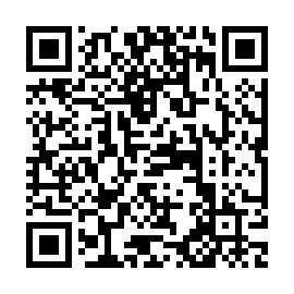 QR 099a833