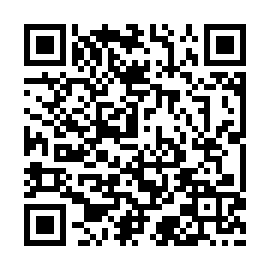 QR 09a133b