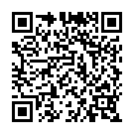 QR 09a8711