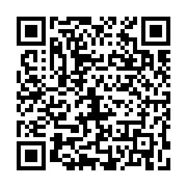 QR 0a38911