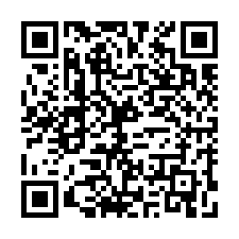QR 0a38b47