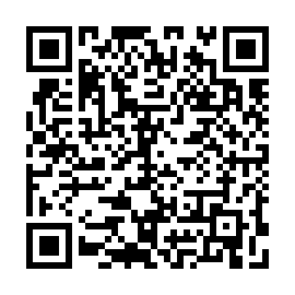 QR 0a49393