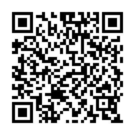 QR 0a55613