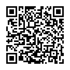 QR 0b29028