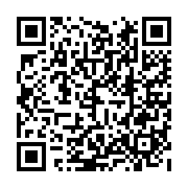QR 0b50295