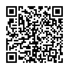 QR 0b85203