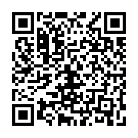 QR 101e881