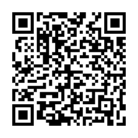 QR 110d311