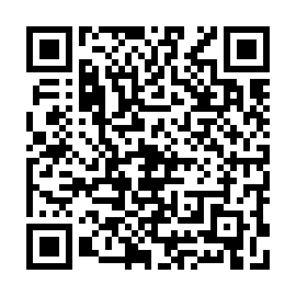 QR 111b394
